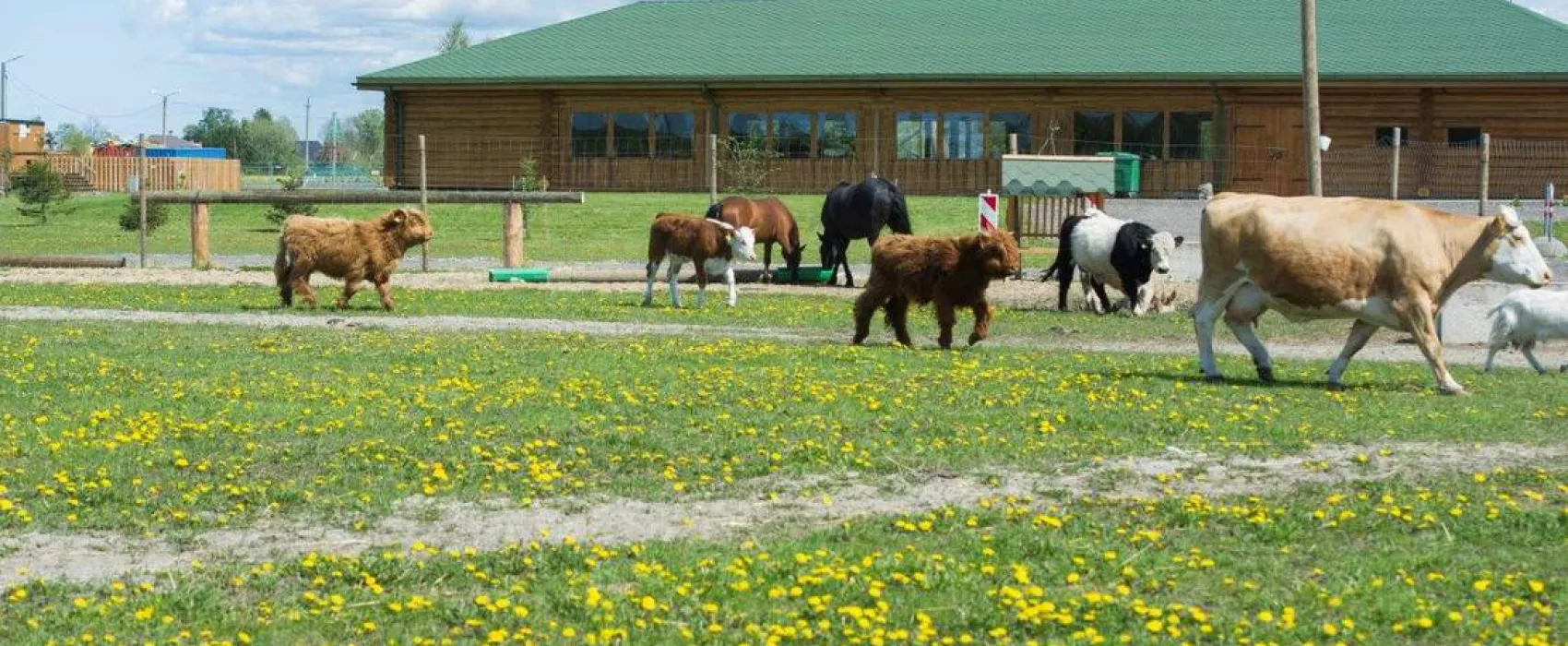 Vanamõisa Caravanpark Tallinn