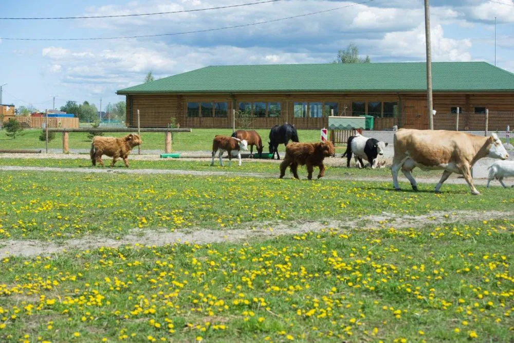 Vanamõisa Caravanpark Tallinn
