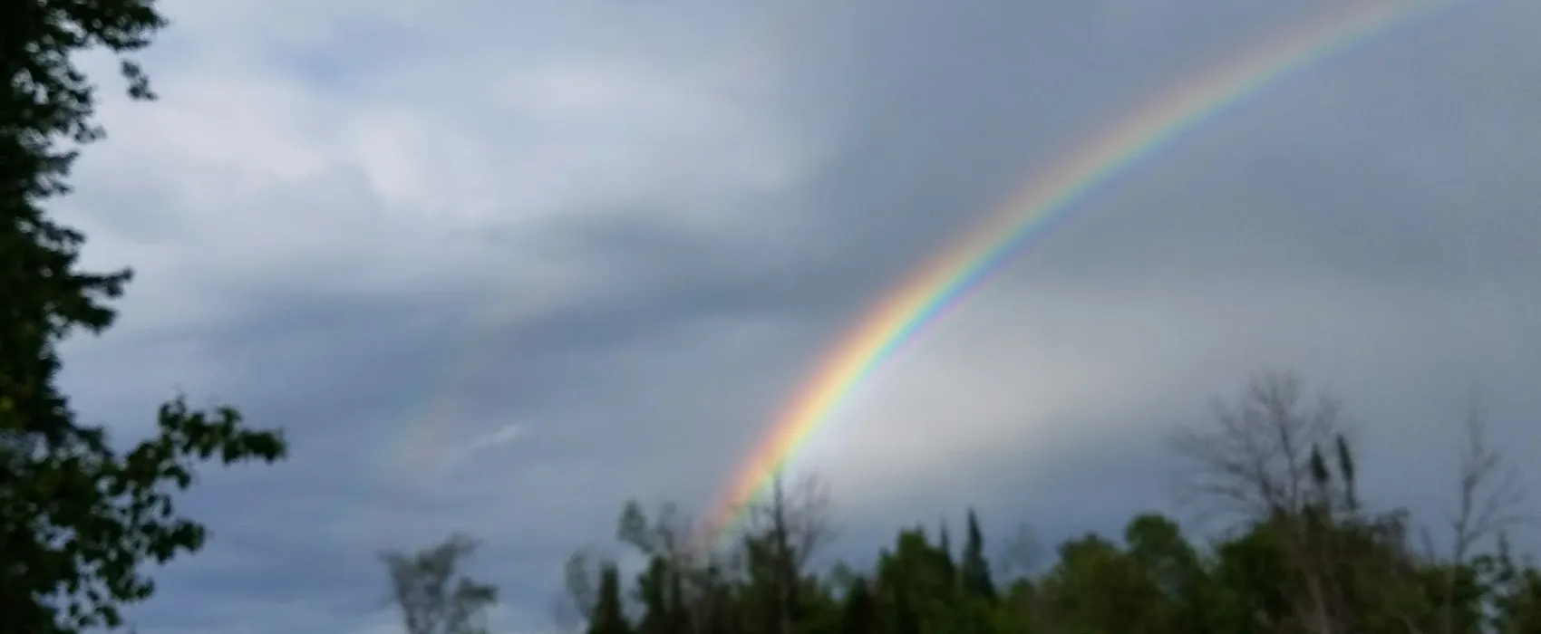 Indian River RV Resort Campground