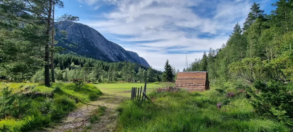 Håvestøl NaturCamp