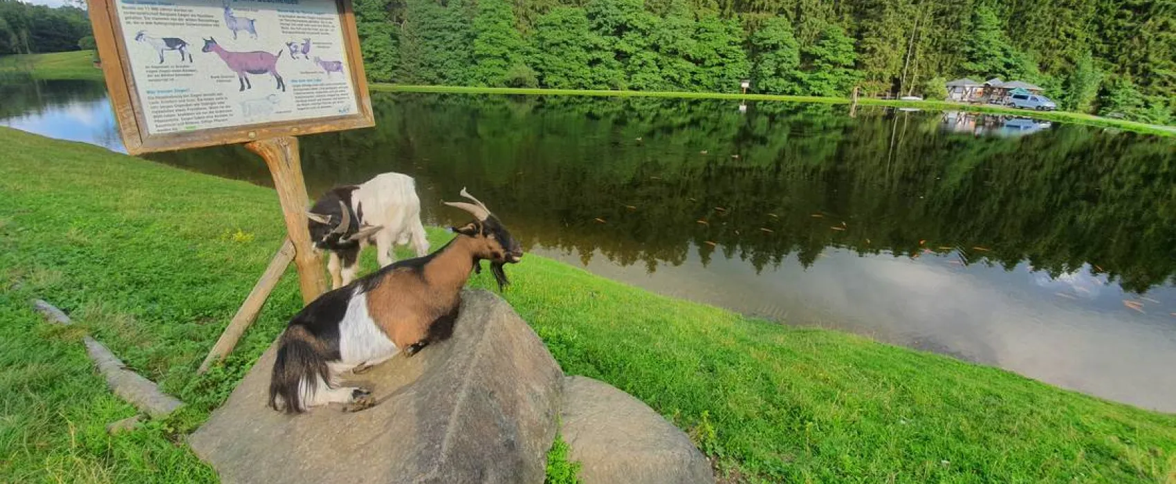 Gläserner Bauernhof Vogtland