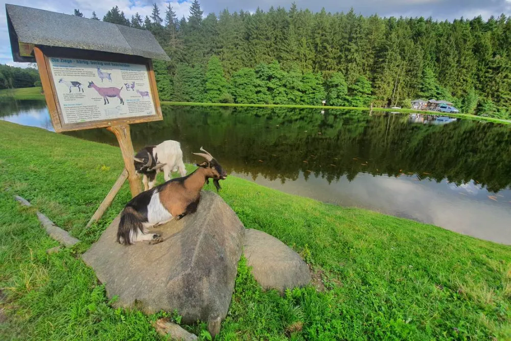 Gläserner Bauernhof Vogtland