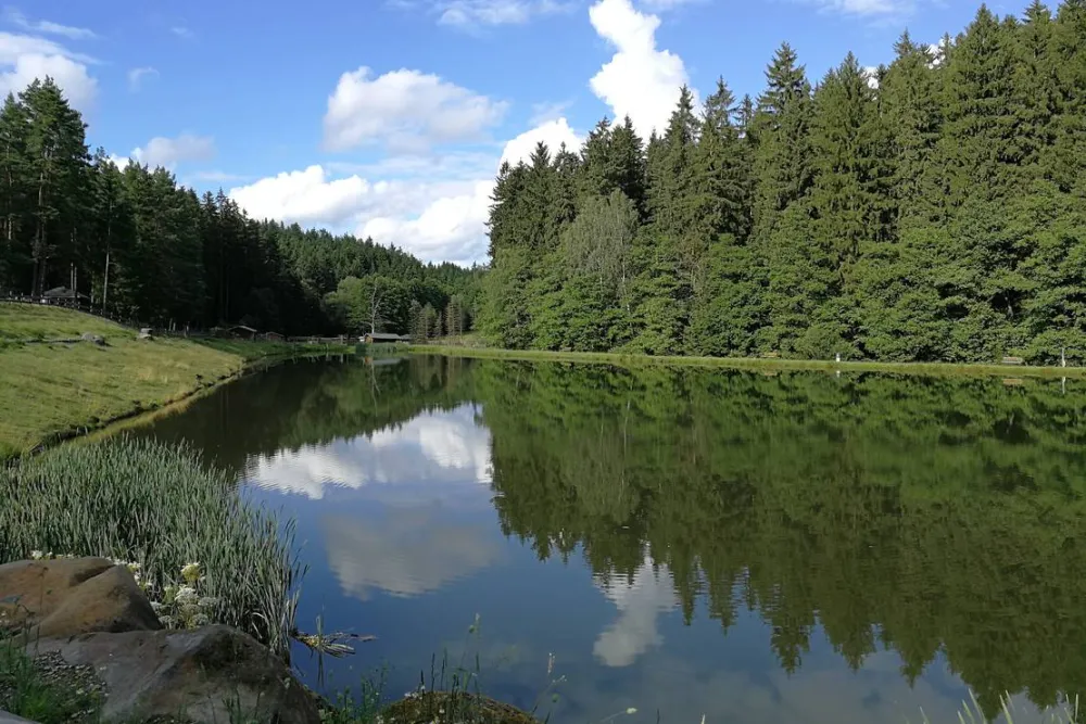 Gläserner Bauernhof Vogtland