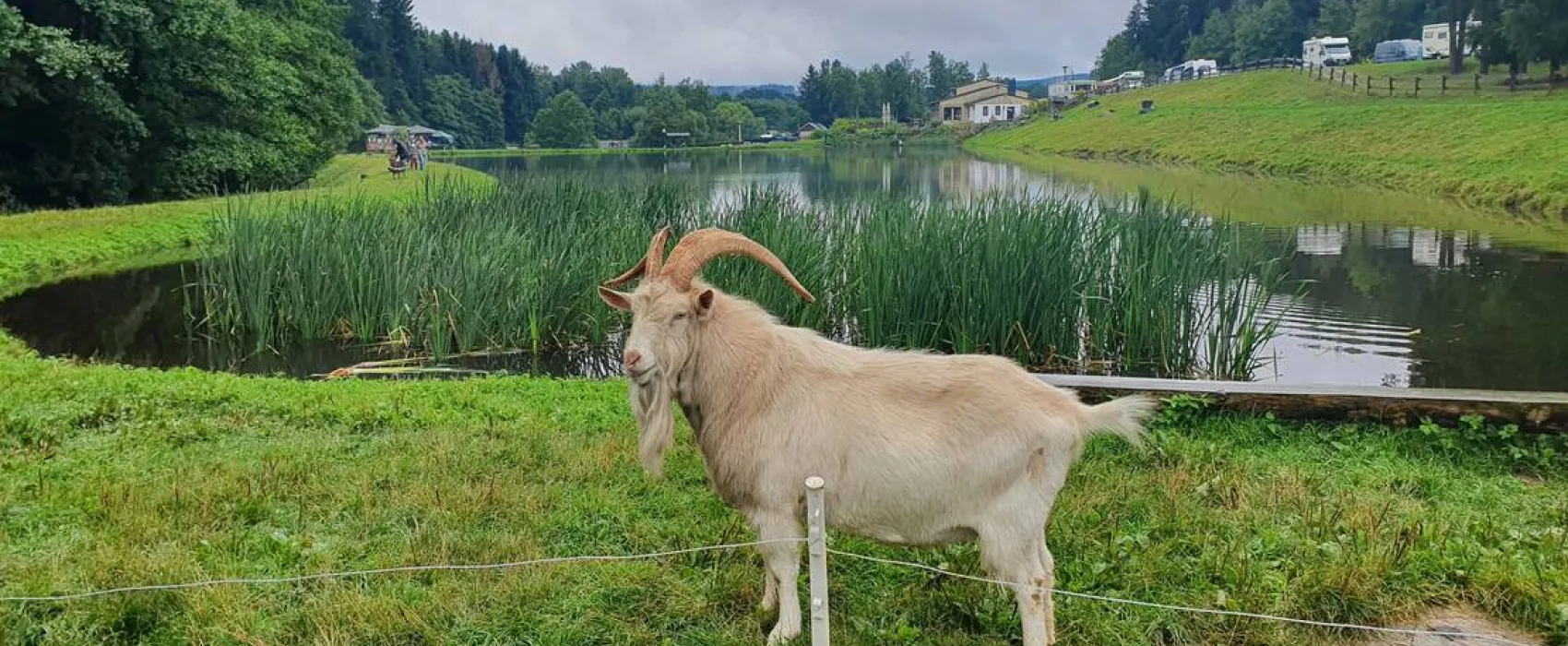 Gläserner Bauernhof Vogtland