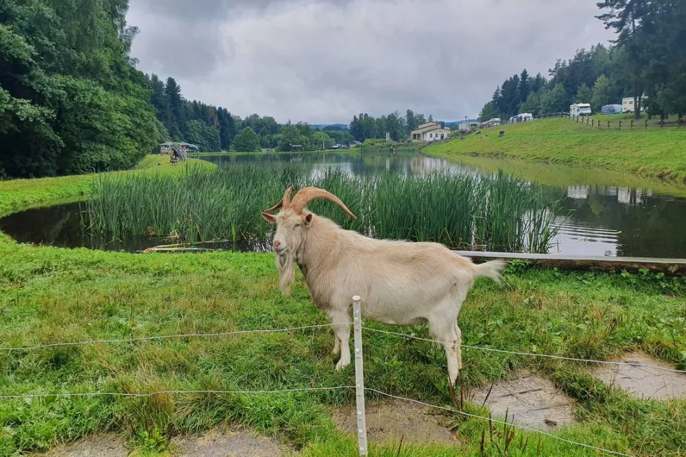 Gläserner Bauernhof Vogtland