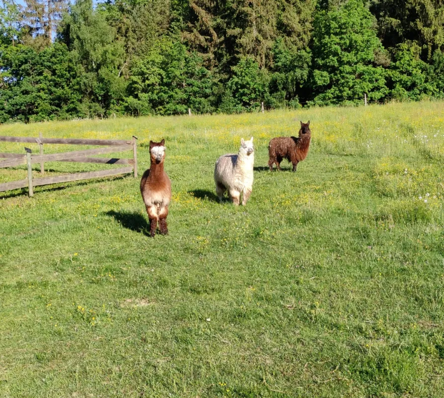 Gläserner Bauernhof Vogtland