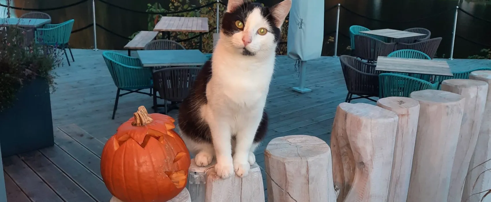 Gläserner Bauernhof Vogtland