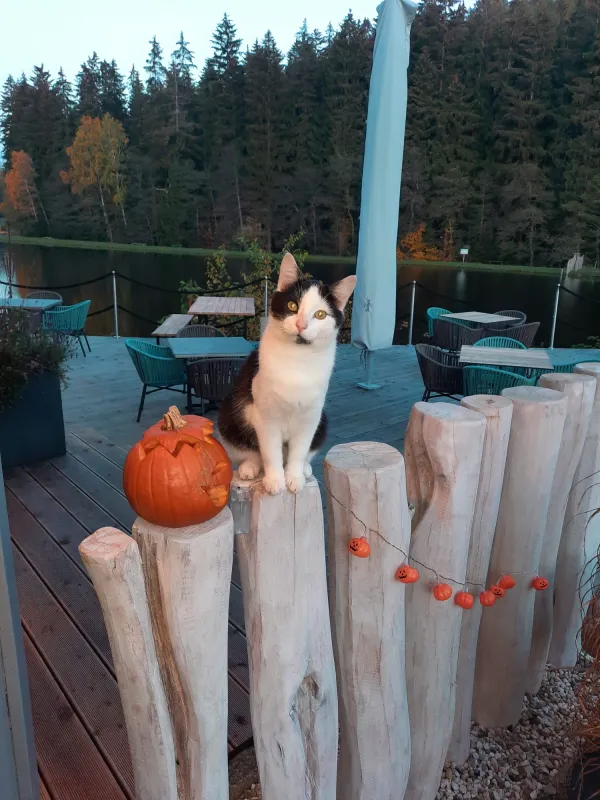 Gläserner Bauernhof Vogtland