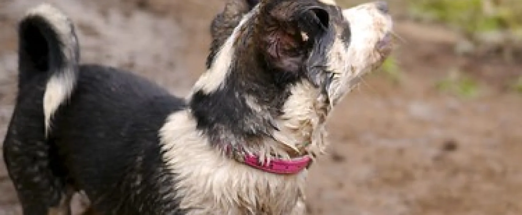 Nash Creek Campground