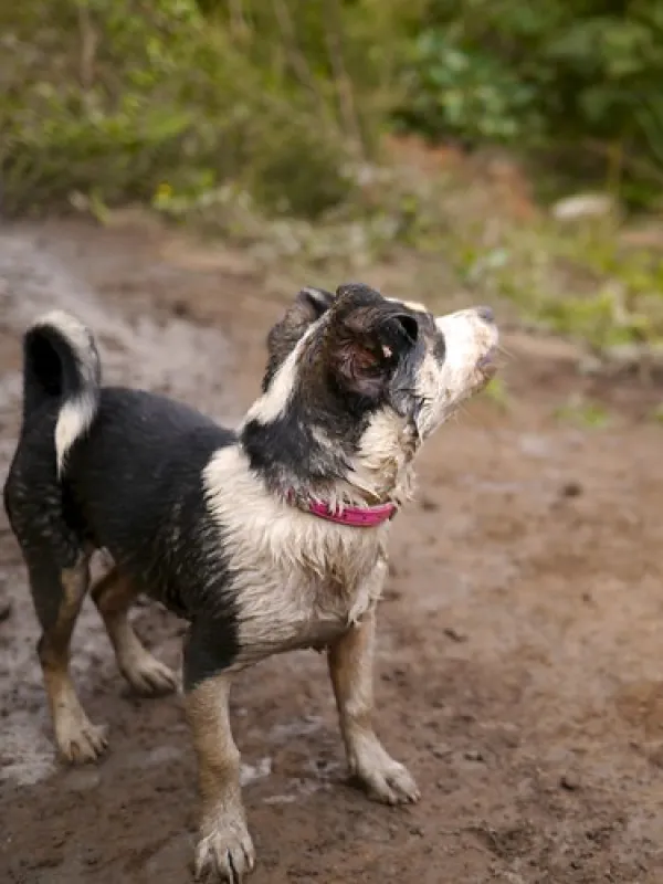 Nash Creek Campground