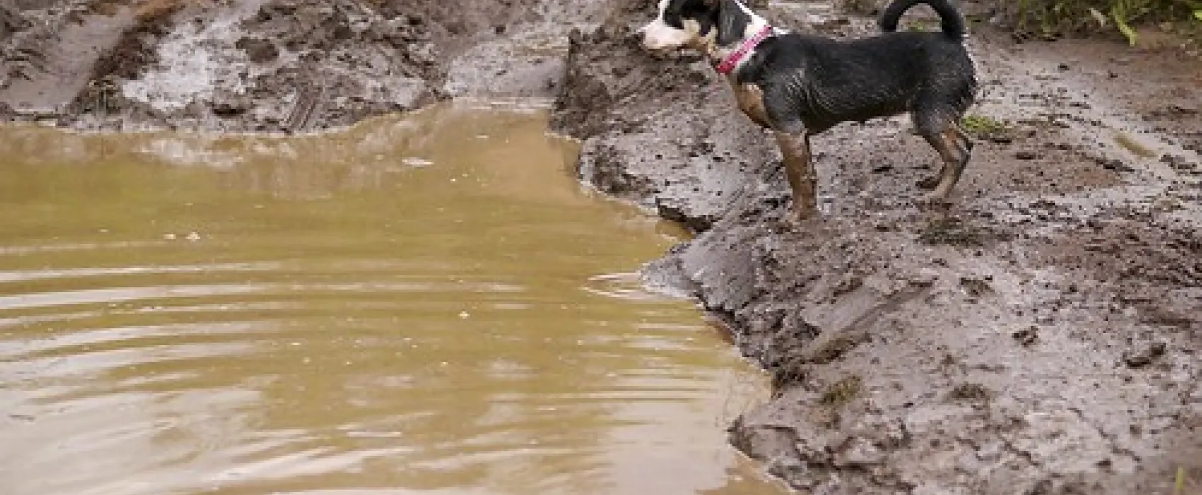 Nash Creek Campground