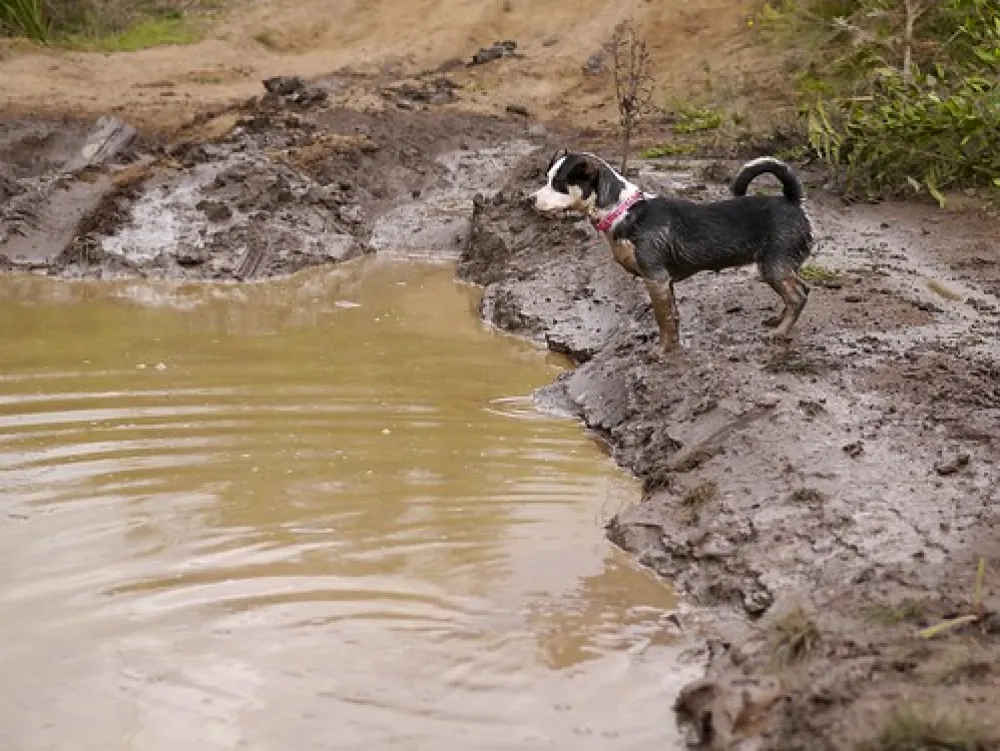 Nash Creek Campground