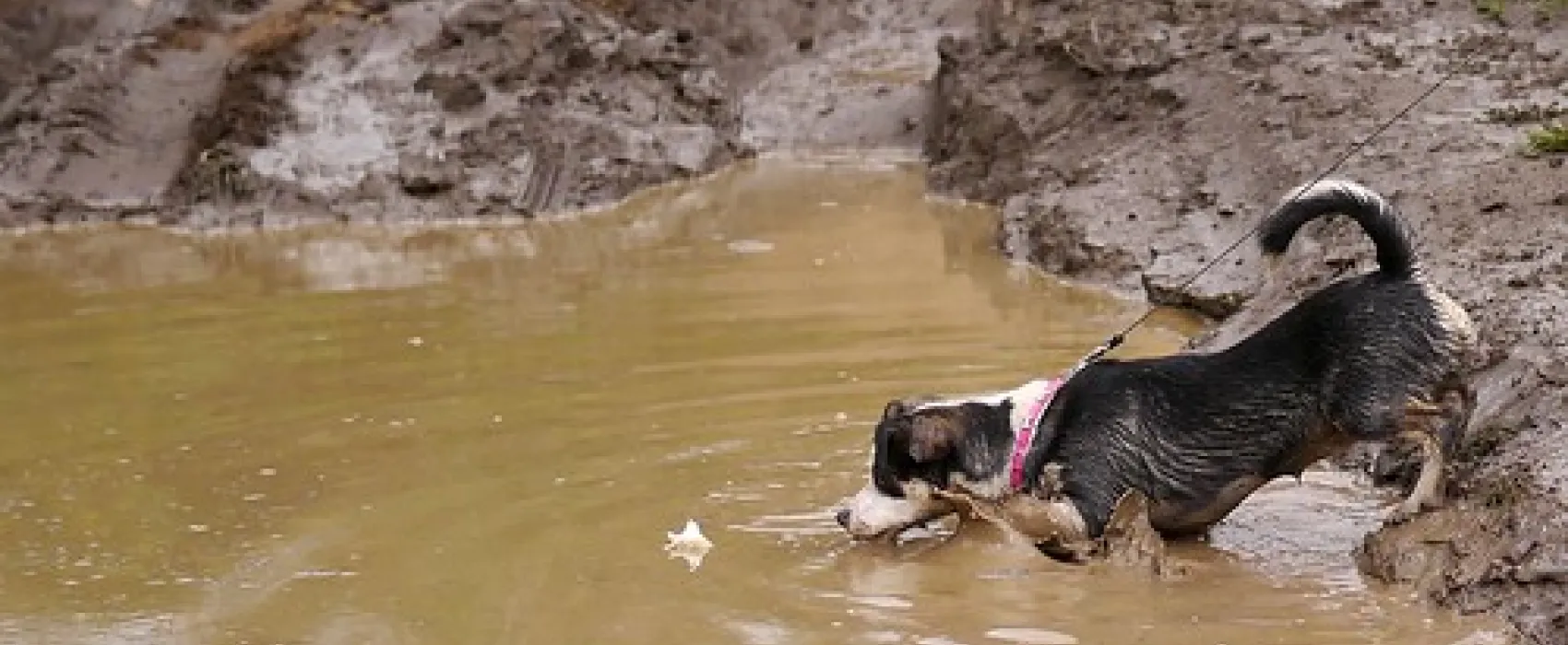 Nash Creek Campground