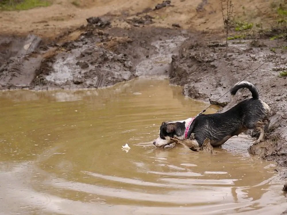 Nash Creek Campground
