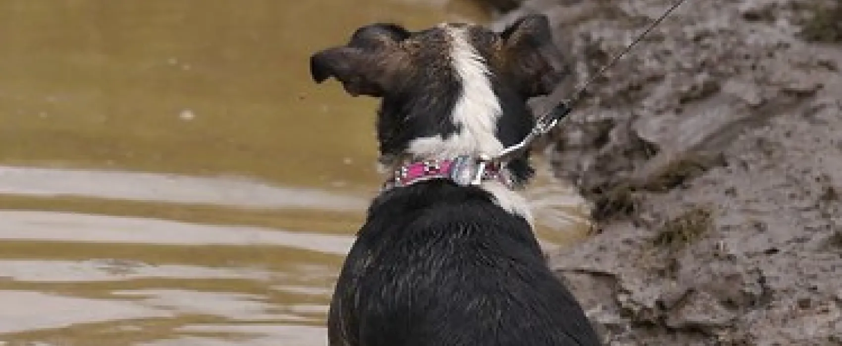 Nash Creek Campground
