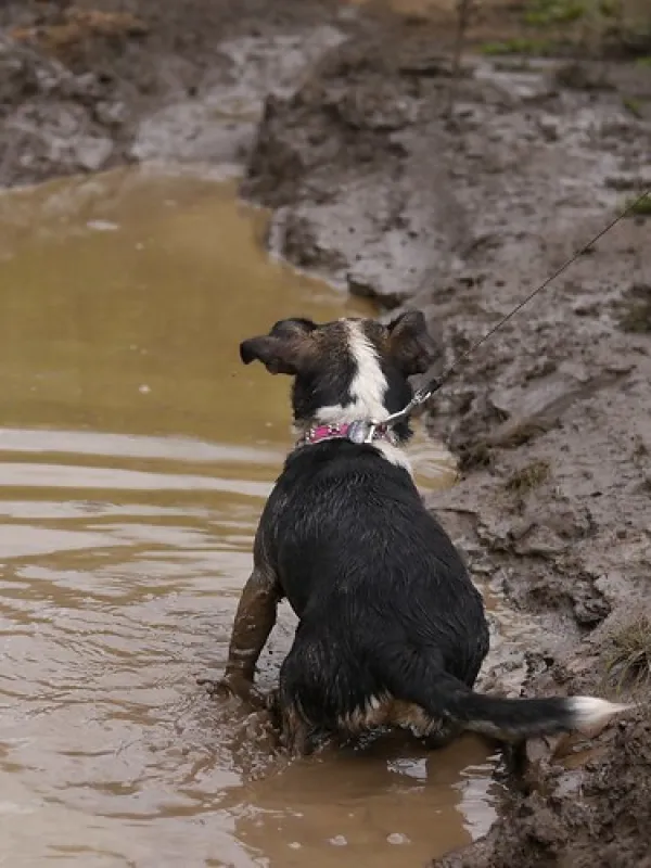 Nash Creek Campground