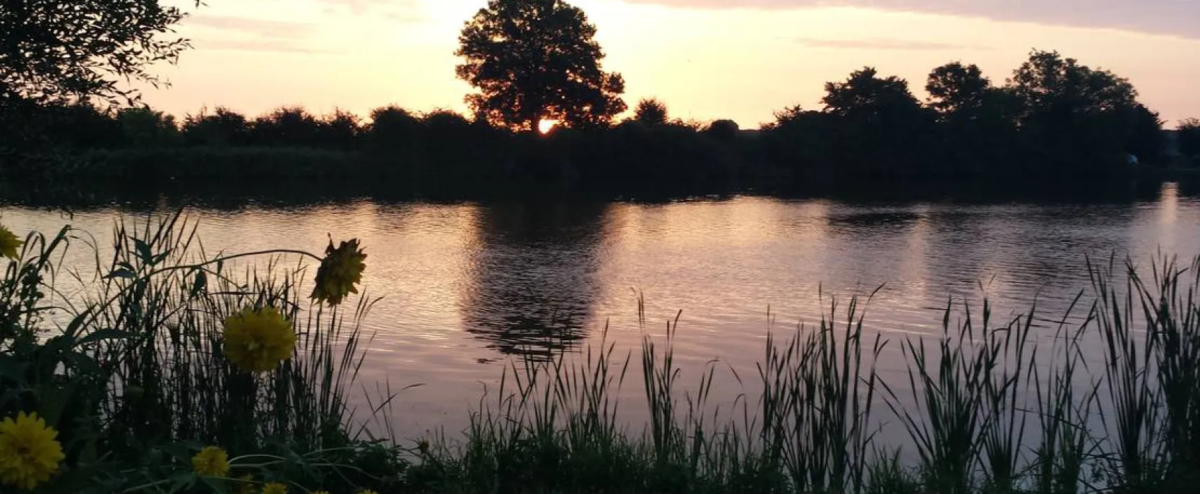 Campingplatz Drakenburg Wassersport Weser e.V.