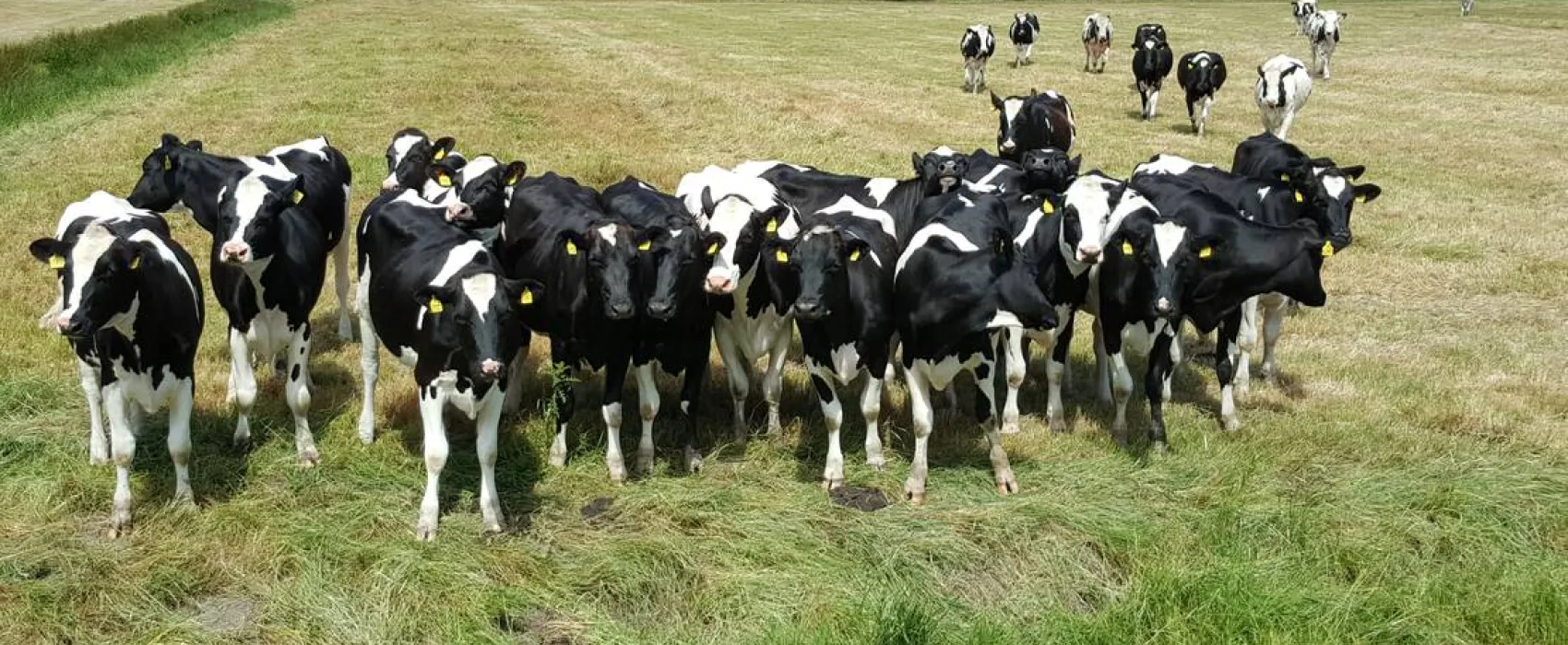 Höpkens Hof & Campingplatz