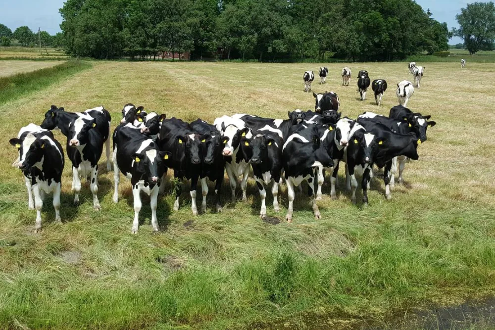 Höpkens Hof & Campingplatz