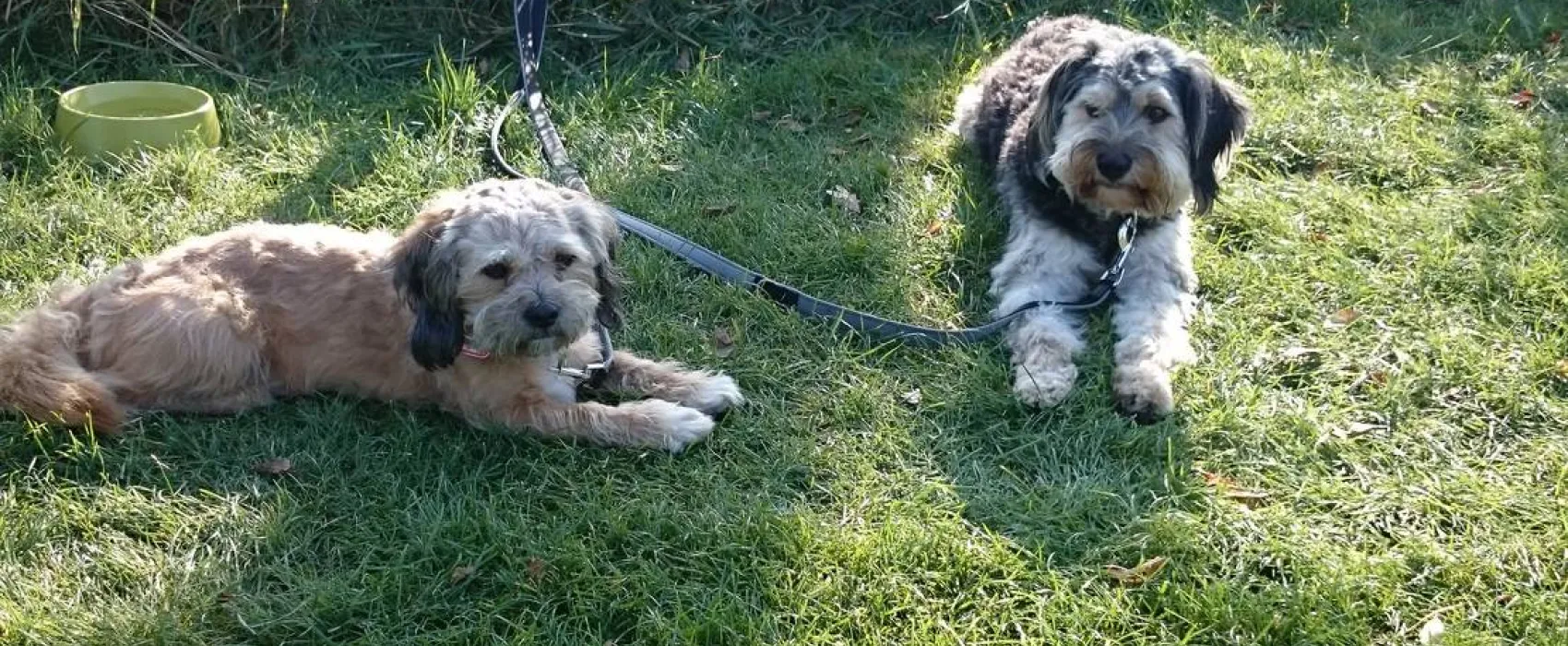 Höpkens Hof & Campingplatz