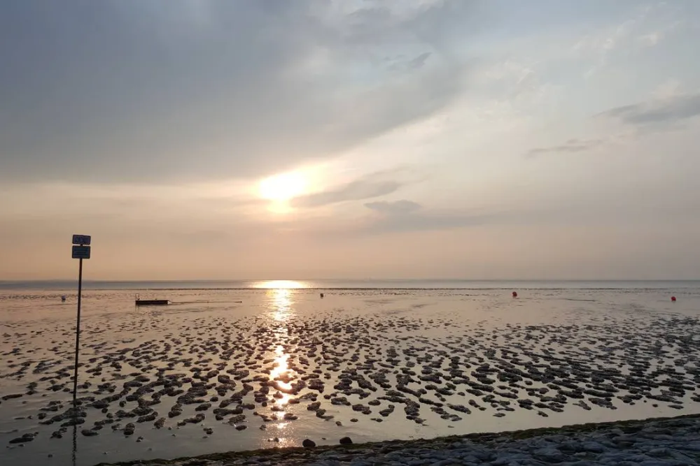 Höpkens Hof & Campingplatz