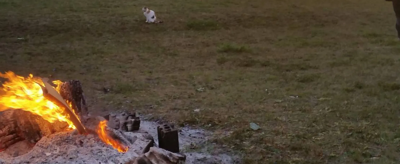 Ferienpark Peenhäuser