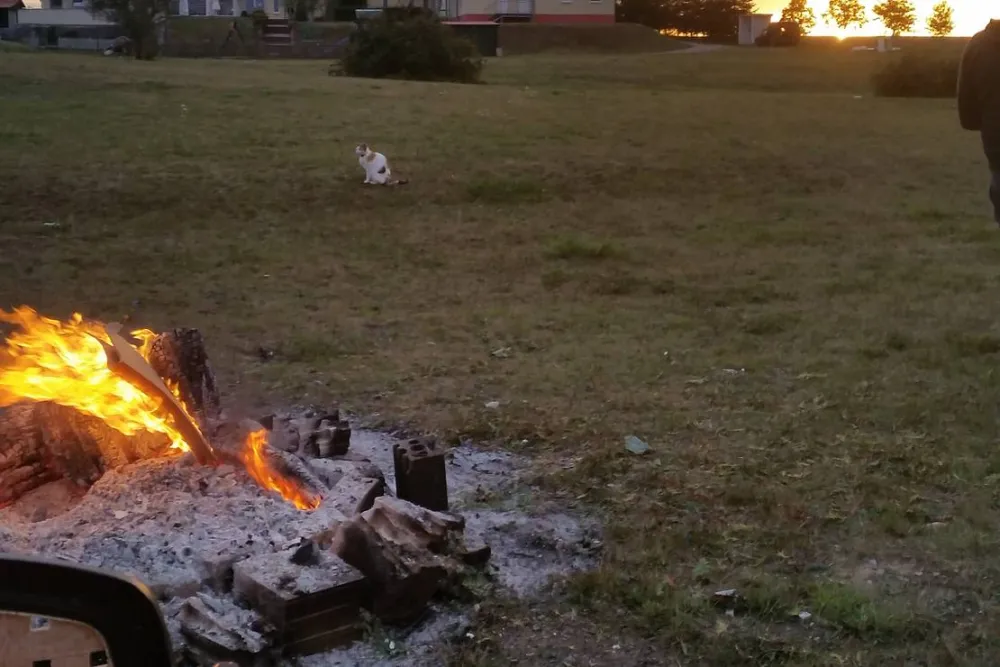 Ferienpark Peenhäuser