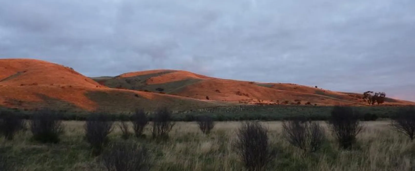 Saunders Gorge Santuary Campground
