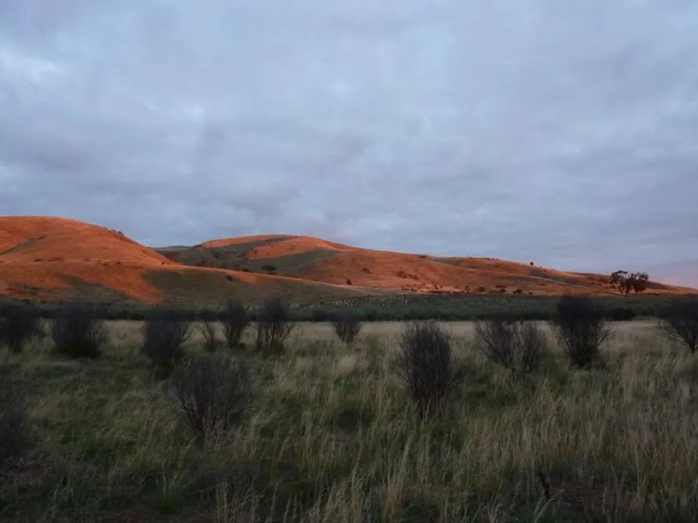 Saunders Gorge Santuary Campground