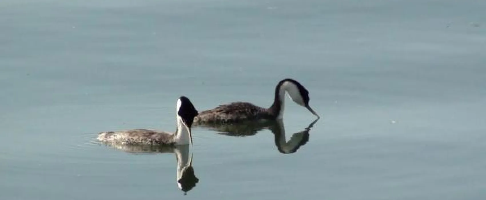 Aurora RV Park & Marina