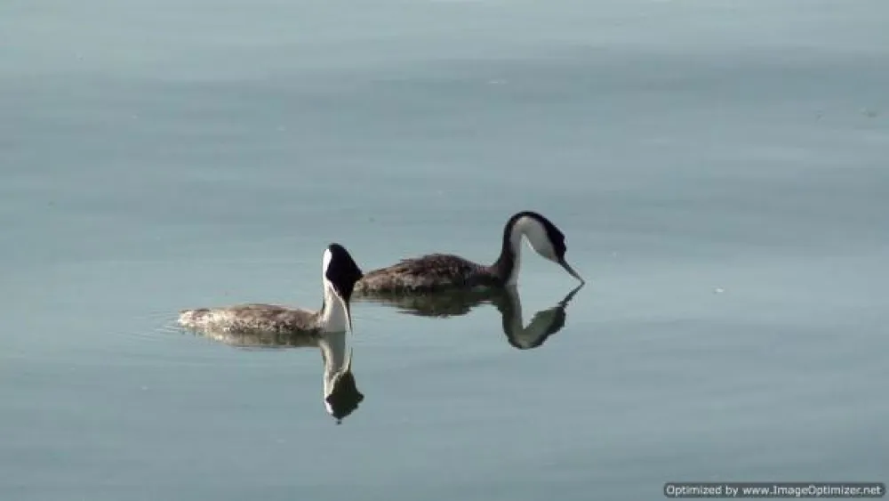 Aurora RV Park & Marina