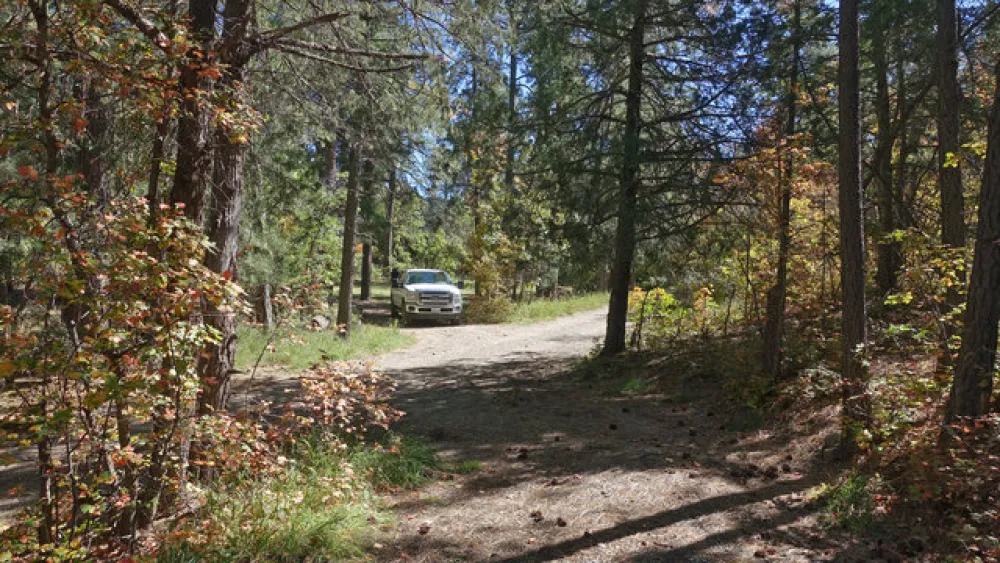 Bosque Campground