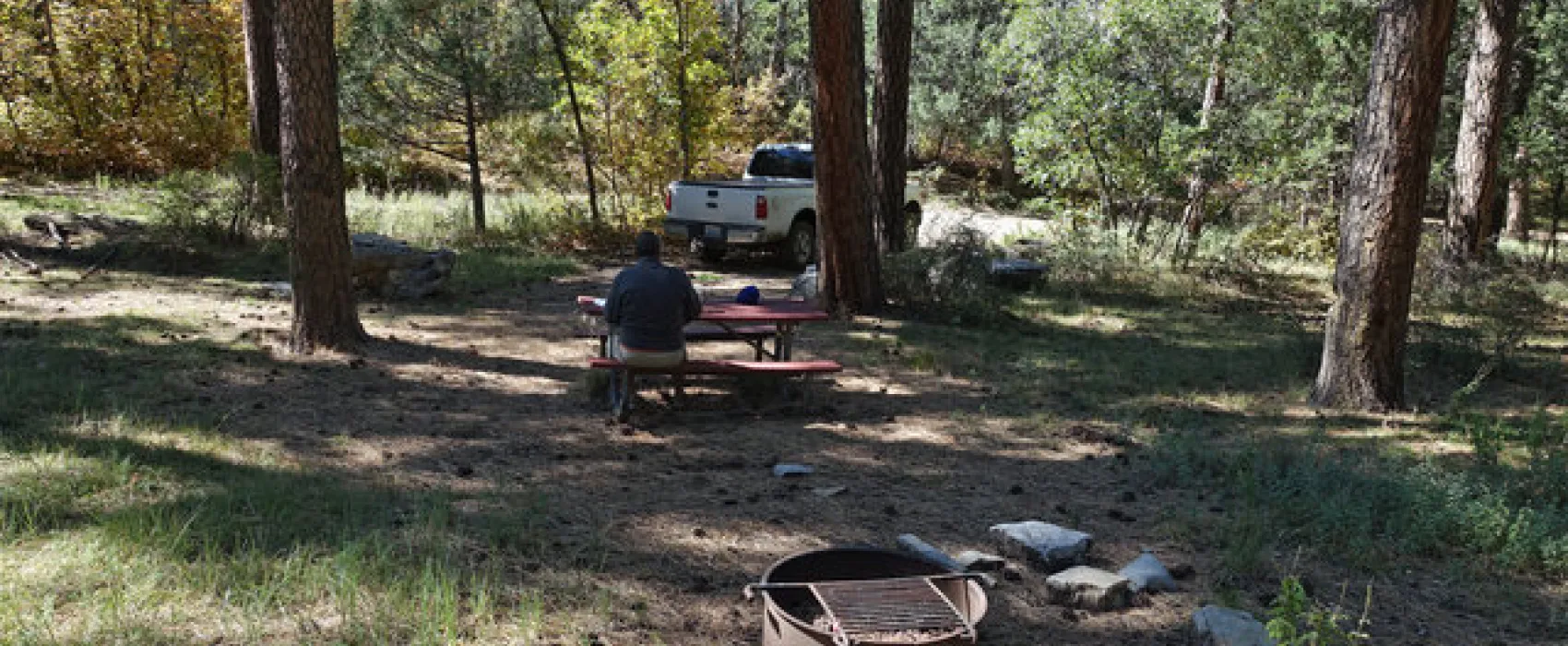 Bosque Campground