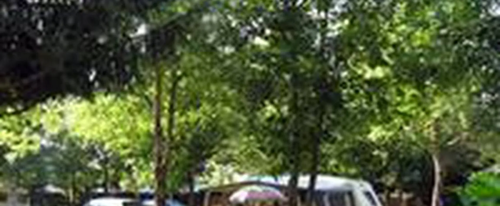 Camping Les Cyclamens