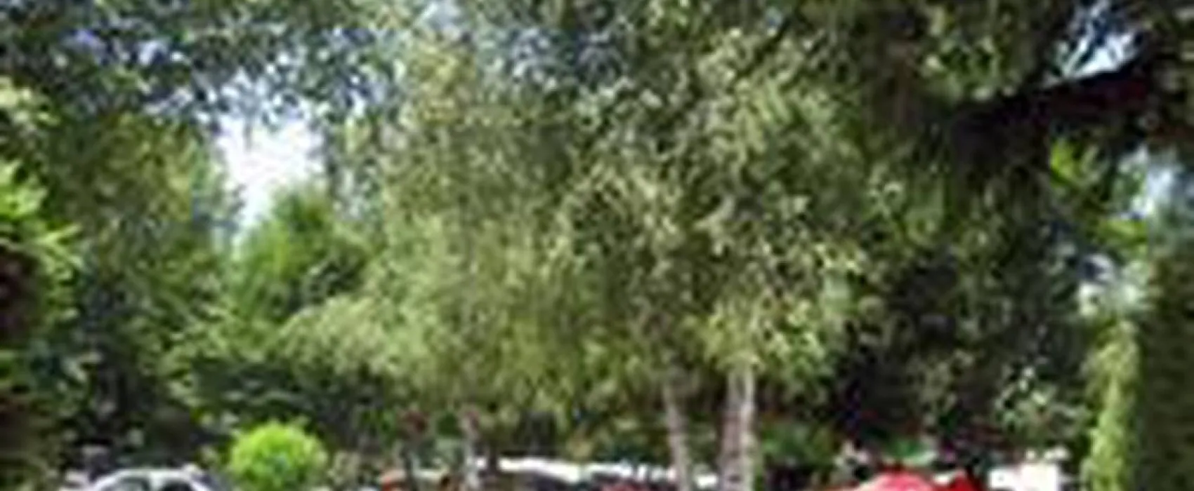 Camping Les Cyclamens