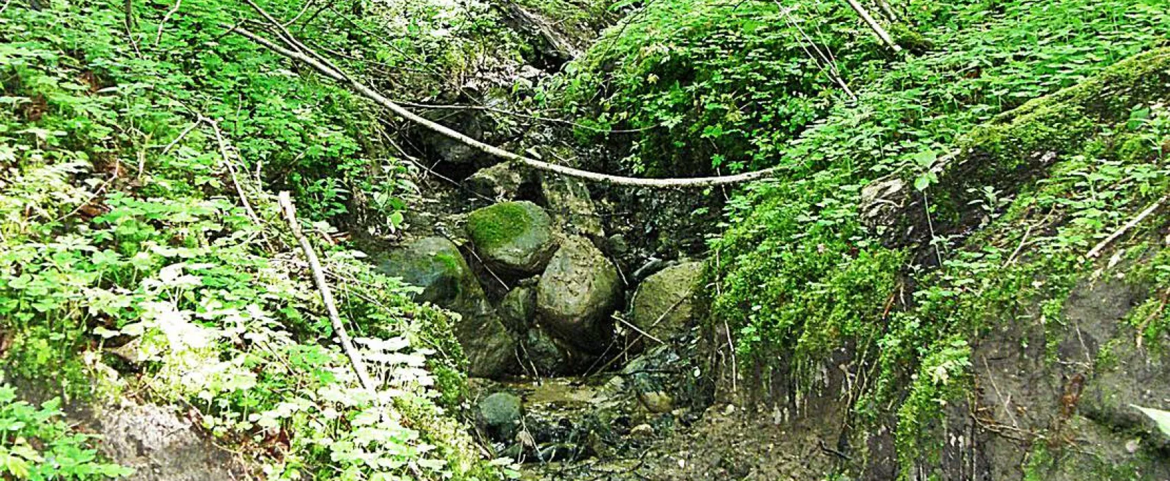 Kempings "Zvīguļi"