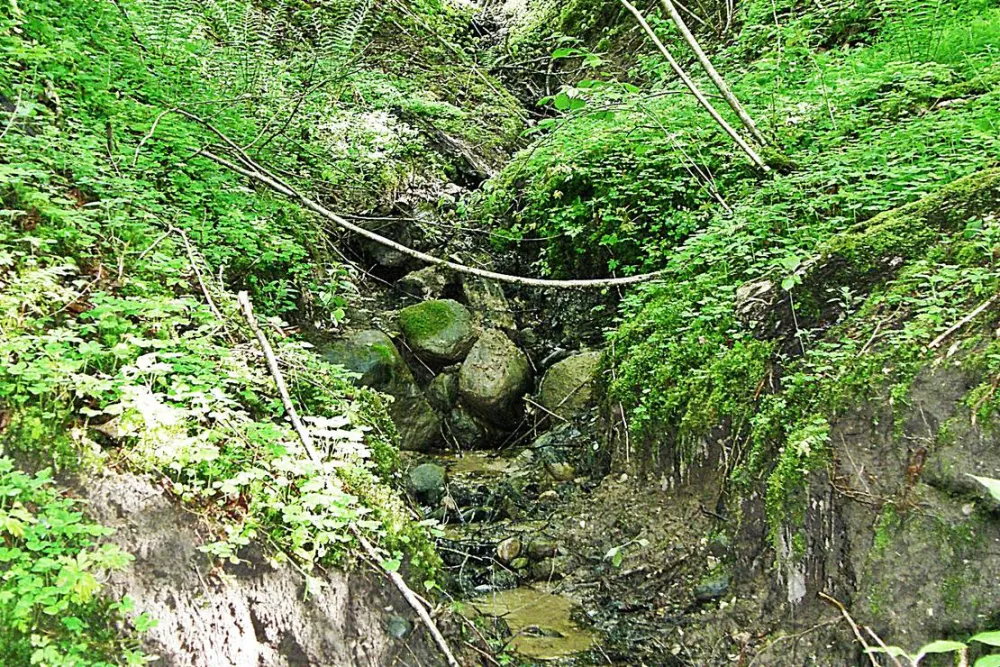 Kempings "Zvīguļi"