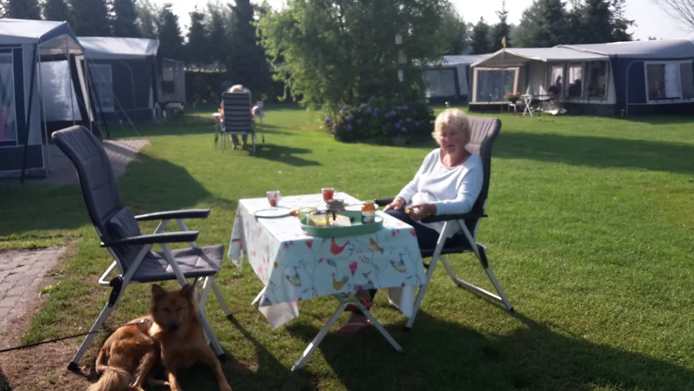 Minicamping Gravenkasteel