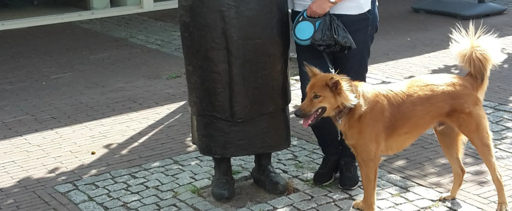Minicamping Gravenkasteel