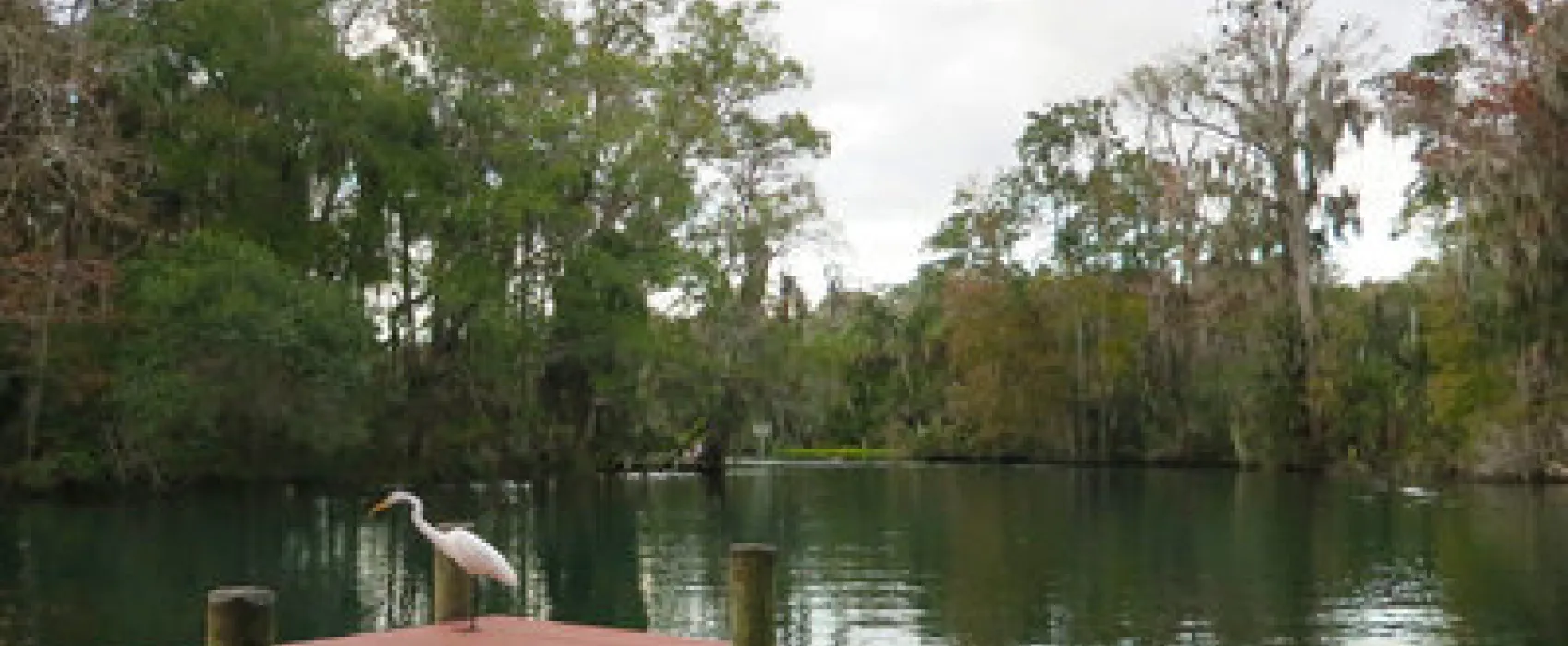 Chassahowitzka River Campground