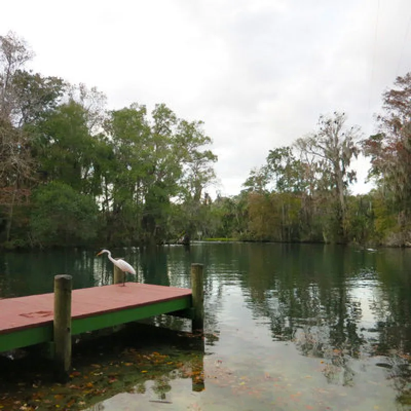 Chassahowitzka River Campground