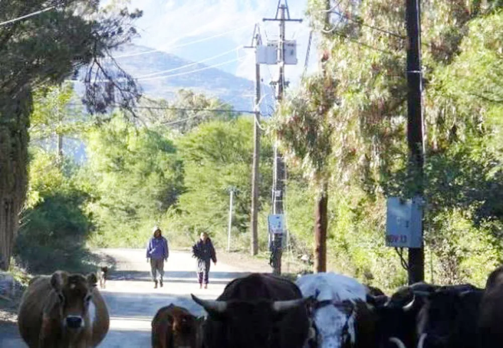 Zonnenstrahl Caravan and Camping