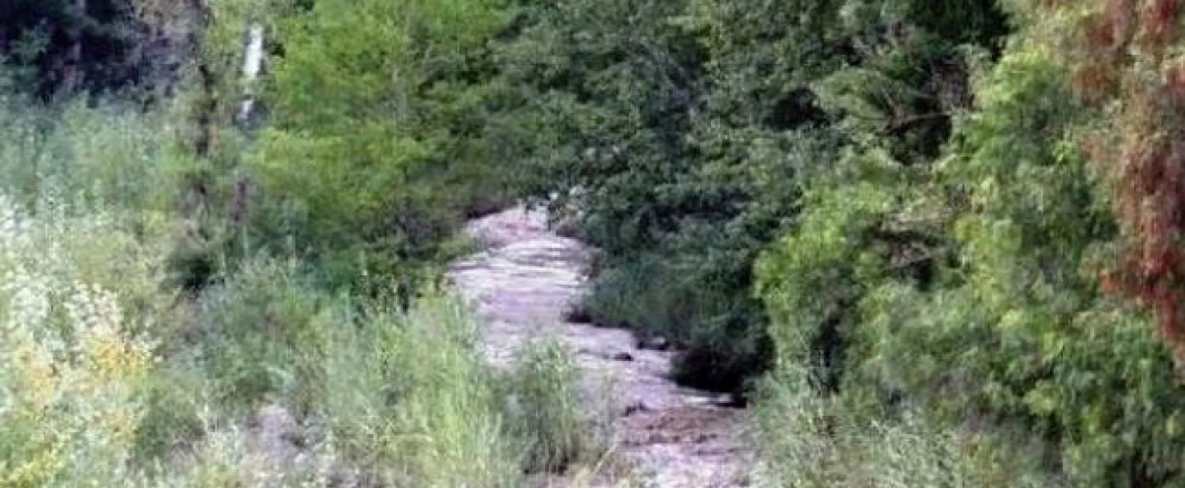 Zonnenstrahl Caravan and Camping