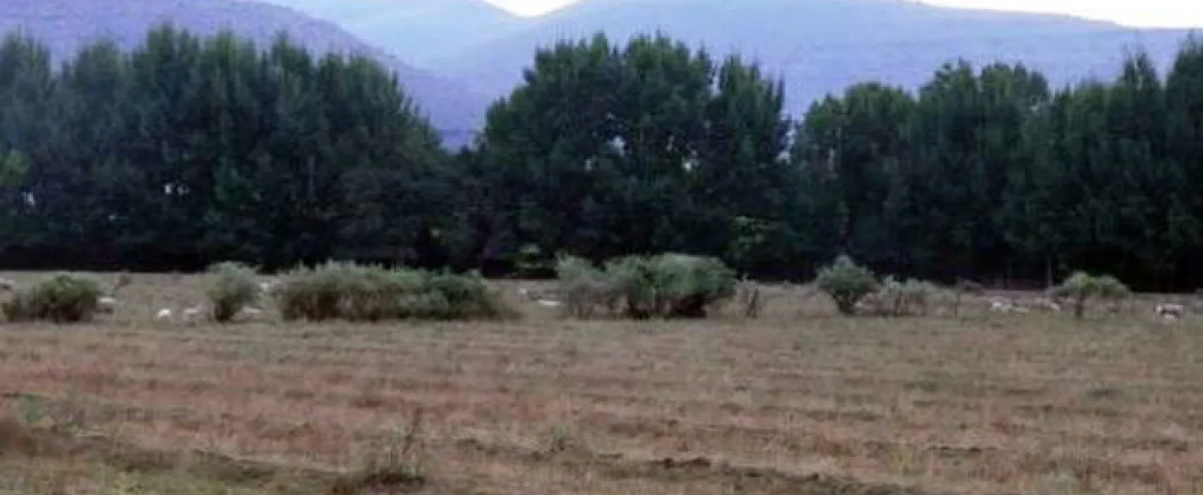 Zonnenstrahl Caravan and Camping