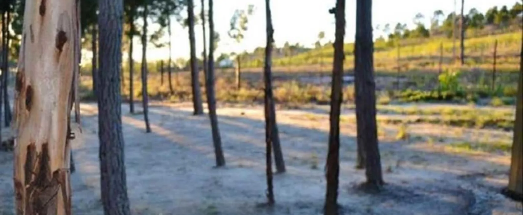 Otium Oasis Glamping