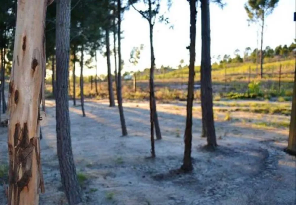 Otium Oasis Glamping