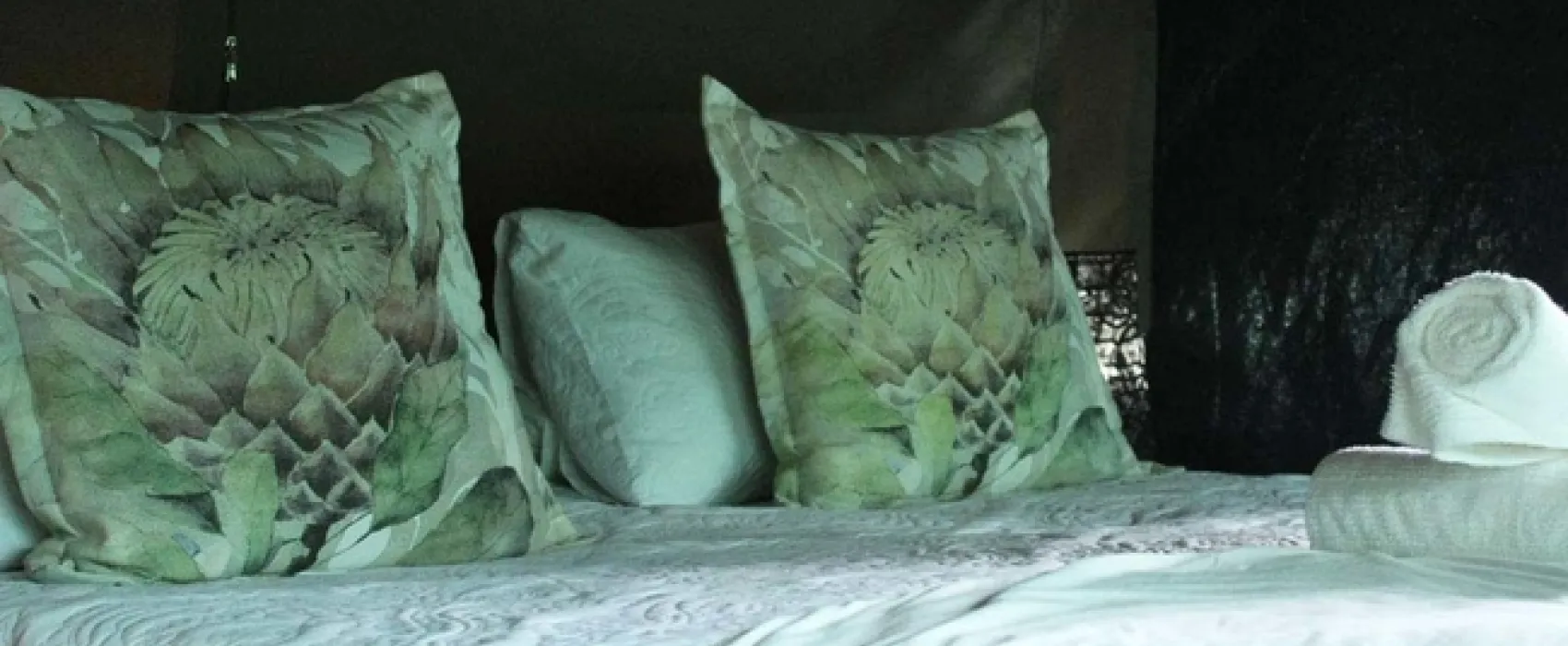 Otium Oasis Glamping