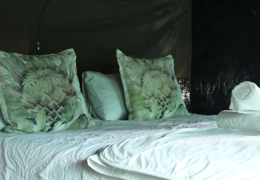 Otium Oasis Glamping