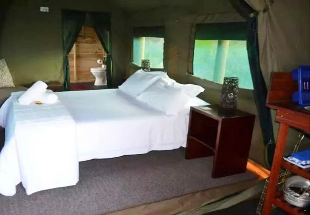 Otium Oasis Glamping