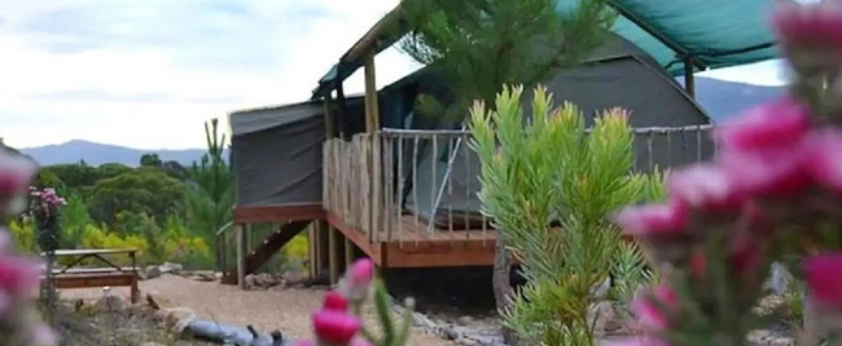 Otium Oasis Glamping